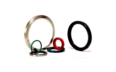 oil seal